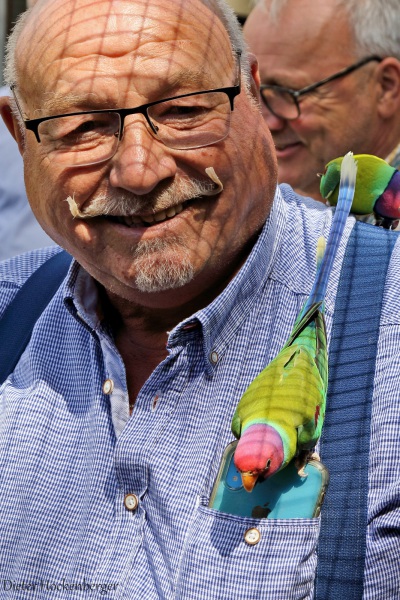 AZ-IG-Tagung Agapornis/Forpus-2023-Züchterbesuch bei Heinz Schrandt und seinen Pflaumenkopfsittichen. Foto: Dieter Hockenberger