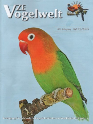 VZE-Vogelwelt-2019-01-Titelbild