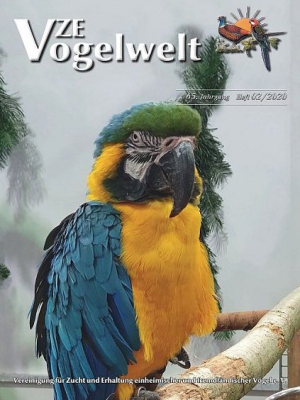 VZE-Vogelwelt-2020-02-Titelbild