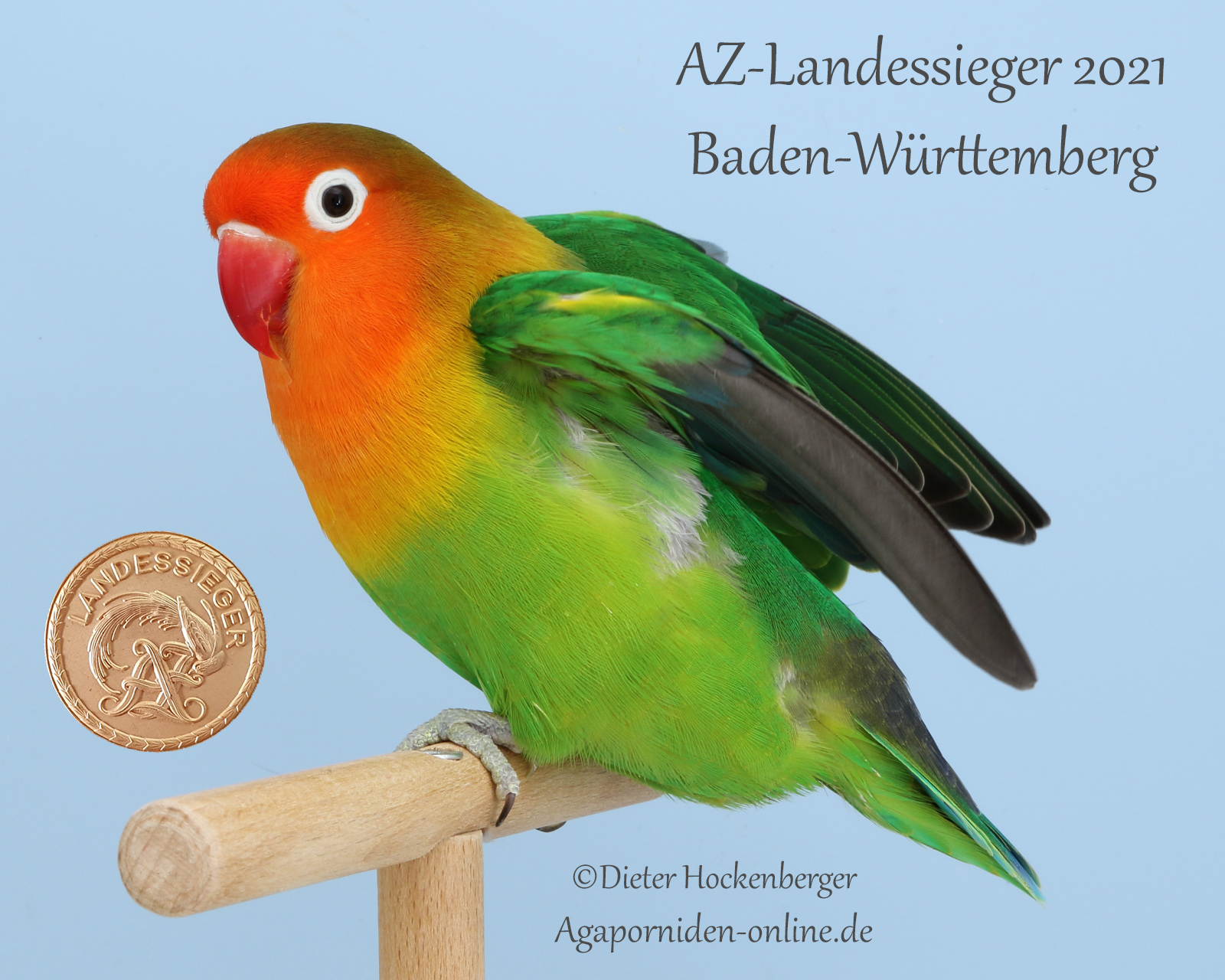 AZ-Landessieger Baden-Württemberg 2021
