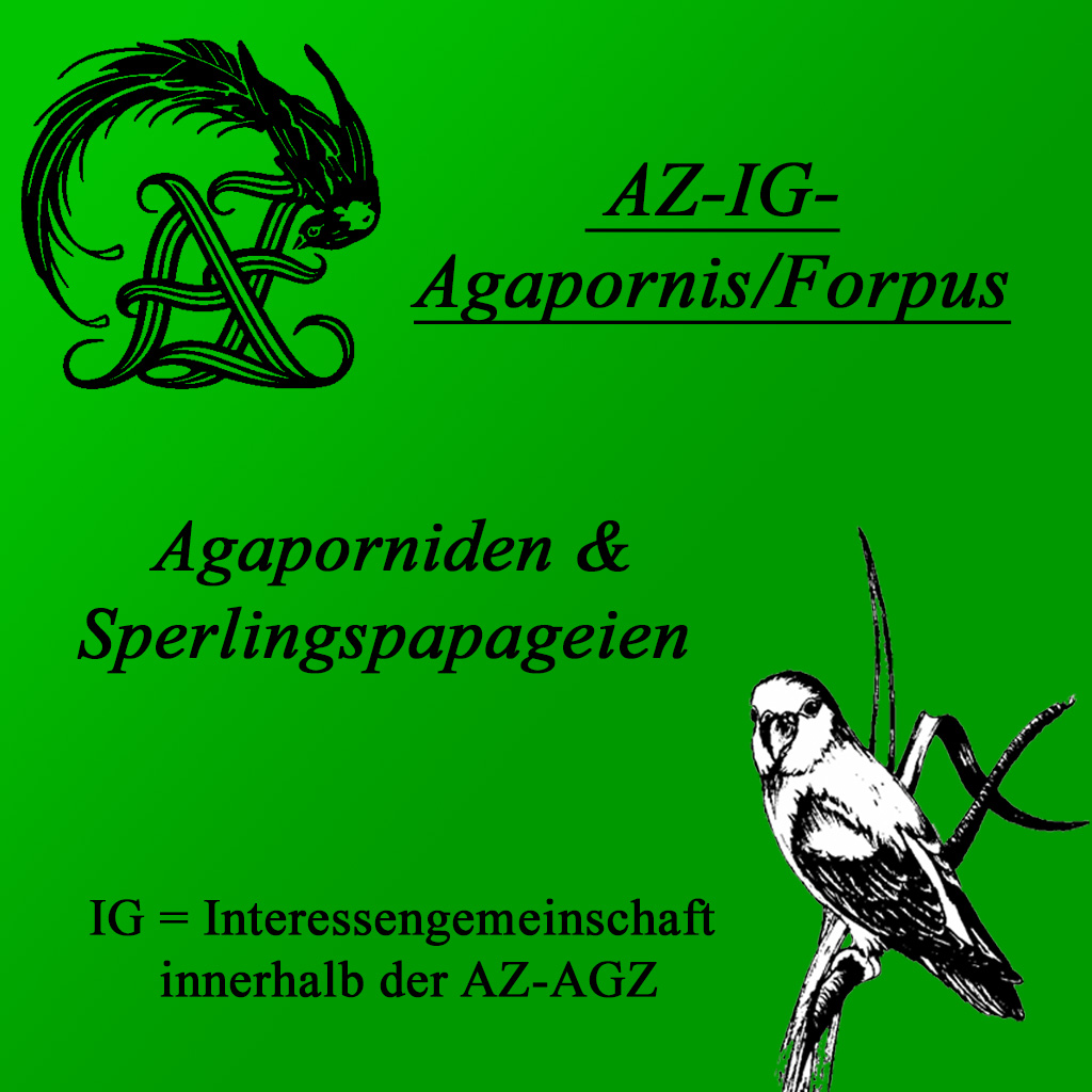 AZ-IG-Agapornis/Forpus Tagung 2024 in Kiel