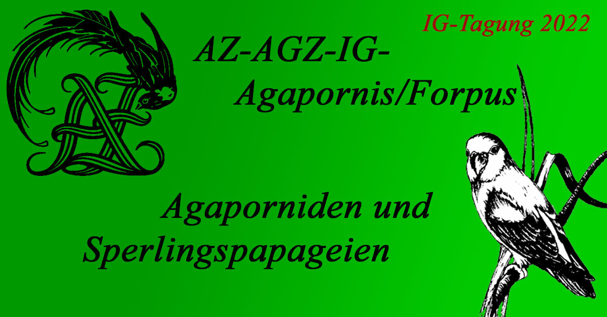 AZ-IG-Agapornis/Forpus Tagung 2022