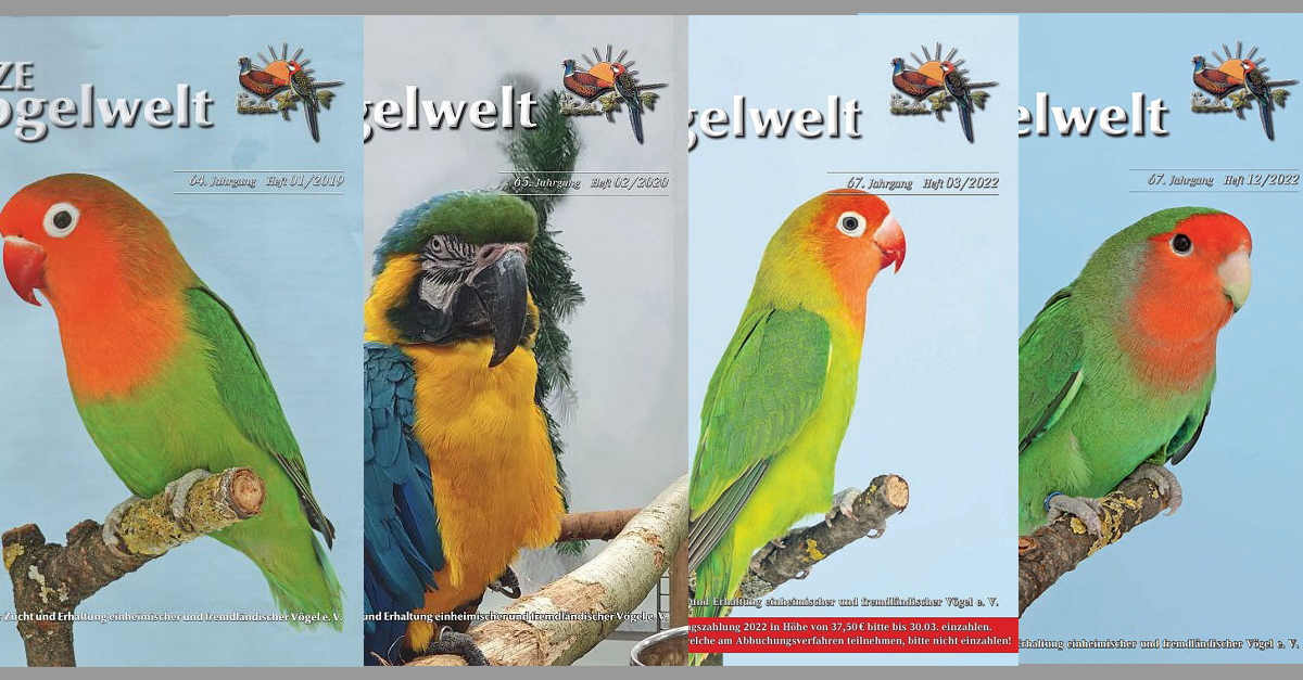 VZE-Vogelwelt Titelbilder