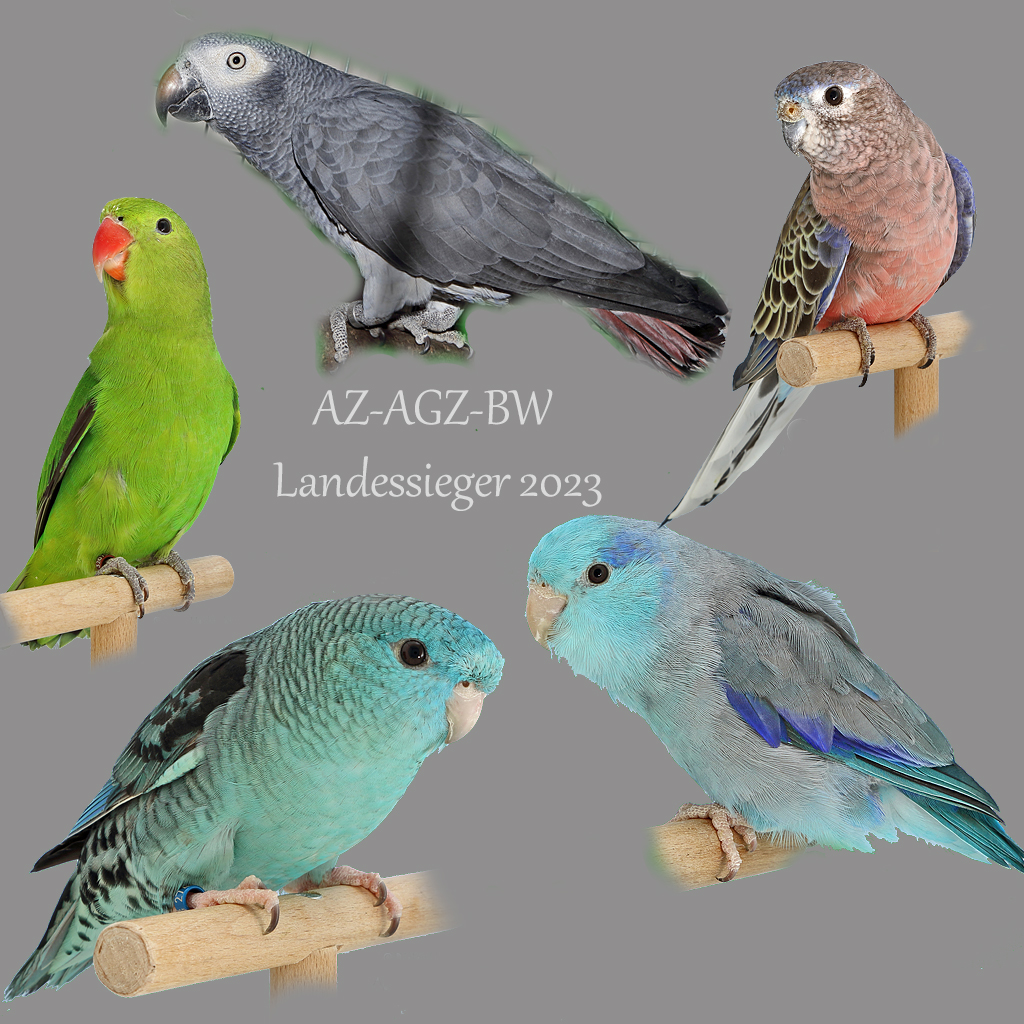 AZ-Landesgruppe Baden-Württemberg – AGZ-Siegervögel 2023