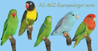Collage der AGZ‑Europasieger und des Europajugendsiegers 2026 in den Sparten Agapornis und Forpus.