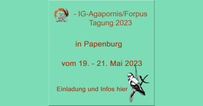 Beitragsbild 1200x627 AZ-IG-Tagung-2023-Papenburg