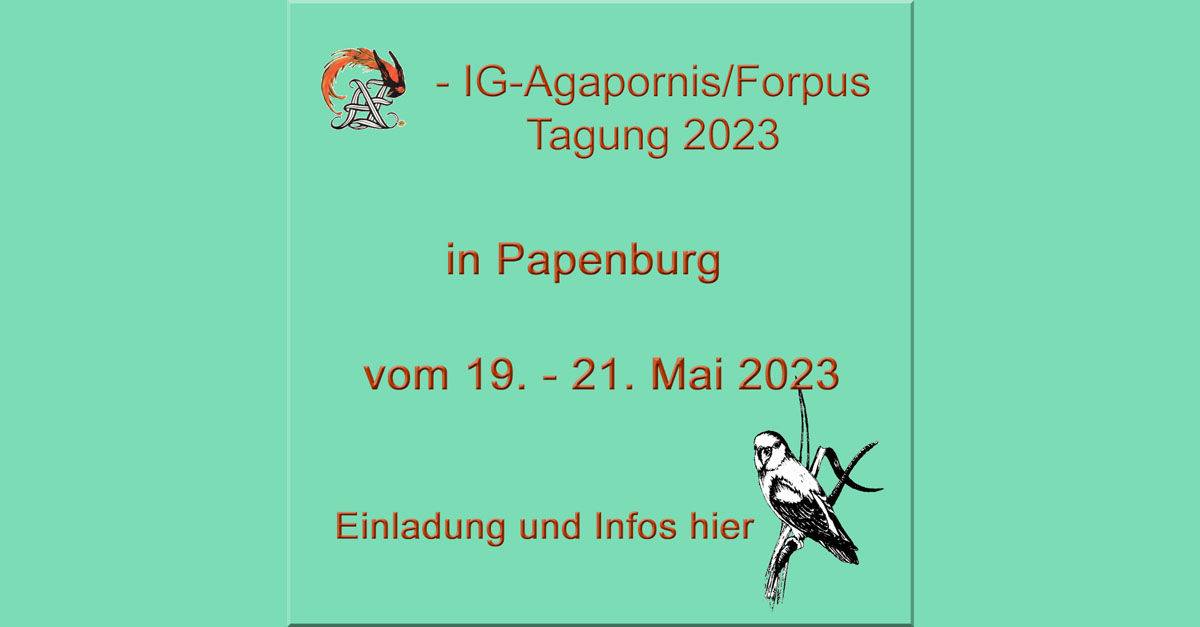 AZ-IG-Agapornis/Forpus Tagung 2023