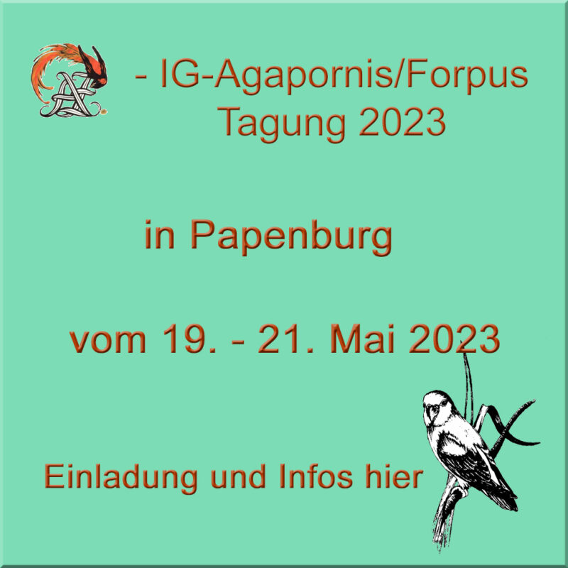 Beitragsbild-AZ-IG-Tagung-2023-Papenburg