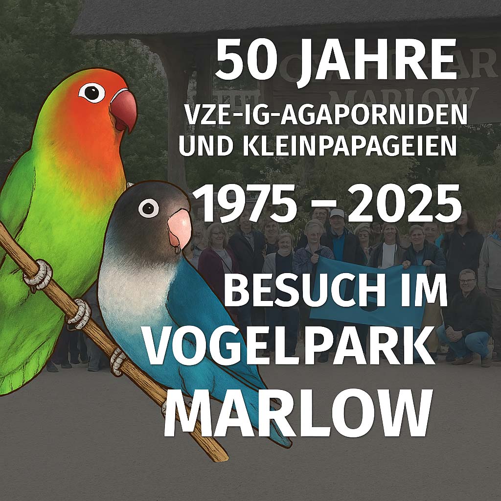 50 Jahre VZE-IG-Agaporniden und Kleinpapageien (1975 – 2025)