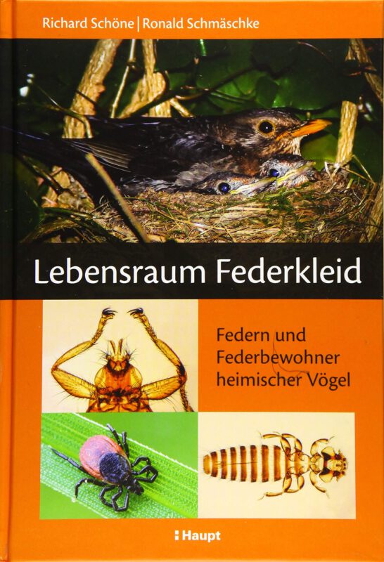 Lebensraum Federkleid: Federn und Federbewohner heimischer Vögel Gebundene Ausgabe – 16. September 2015 von Richard Schöne (Autor), Ronald Schmäschke (Autor)