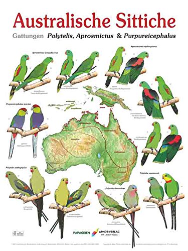 Poster Australische Sittiche 2. Gattungen Polytelis, Aprosmictus & Purpureicephalus