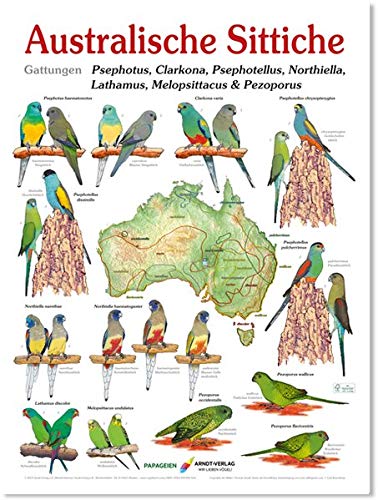 Poster Australische Sittiche 3. Gattungen Psephotus, Psephotellus, Northiella, Lathamus, Melopsittacus & Pezoporus