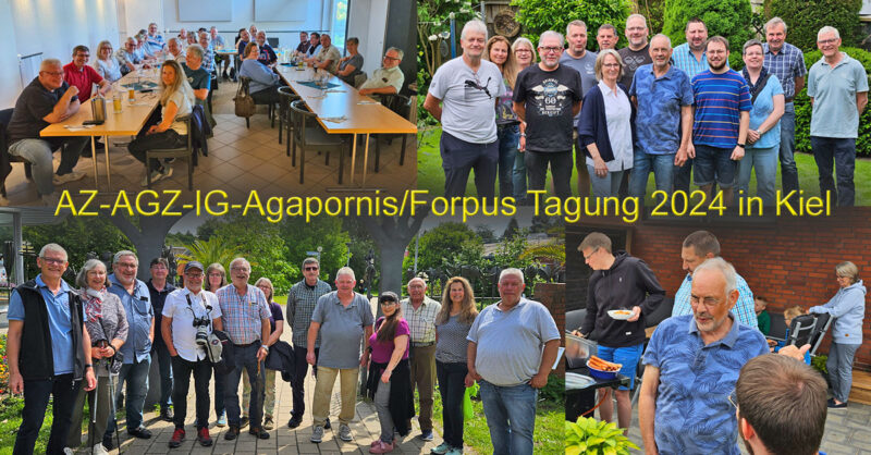 Titelbild: AZ-AGZ-IG-Agapornis/Forpus-Tagung 2024 in Kiel