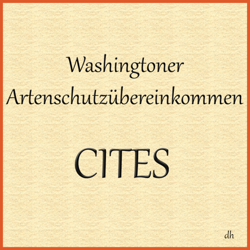 Beitragsbild zur Website Washingtoner Artenschutzübereinkommen (CITES)