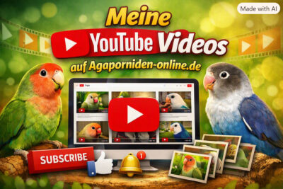 Beitragsbild mit zwei Agaporniden, YouTube‑Logo und Text „Meine YouTube Videos auf Agaporniden‑online.de“.